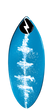 49